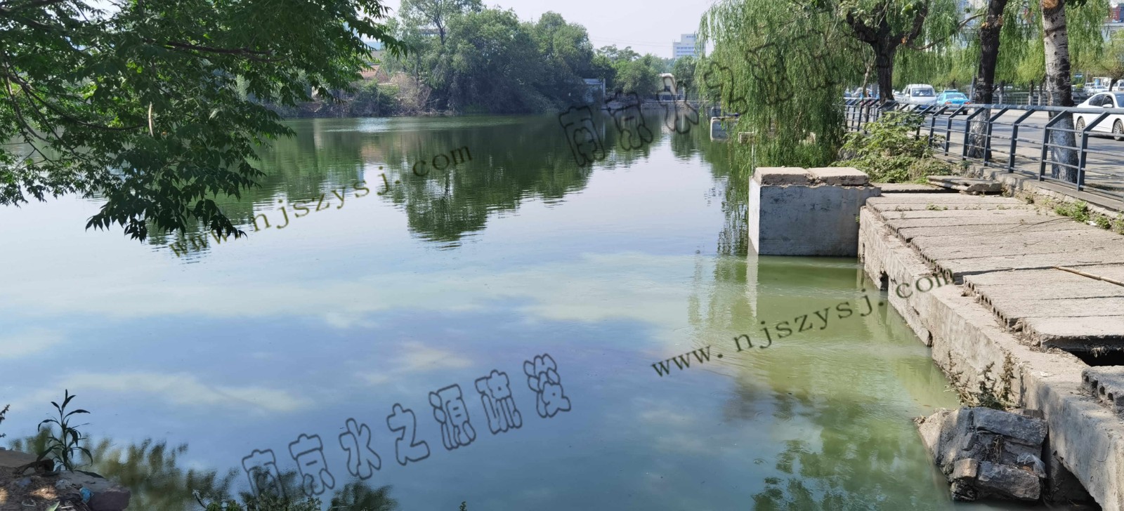 青年湖小湖3.jpg 青年湖小湖3.jpg